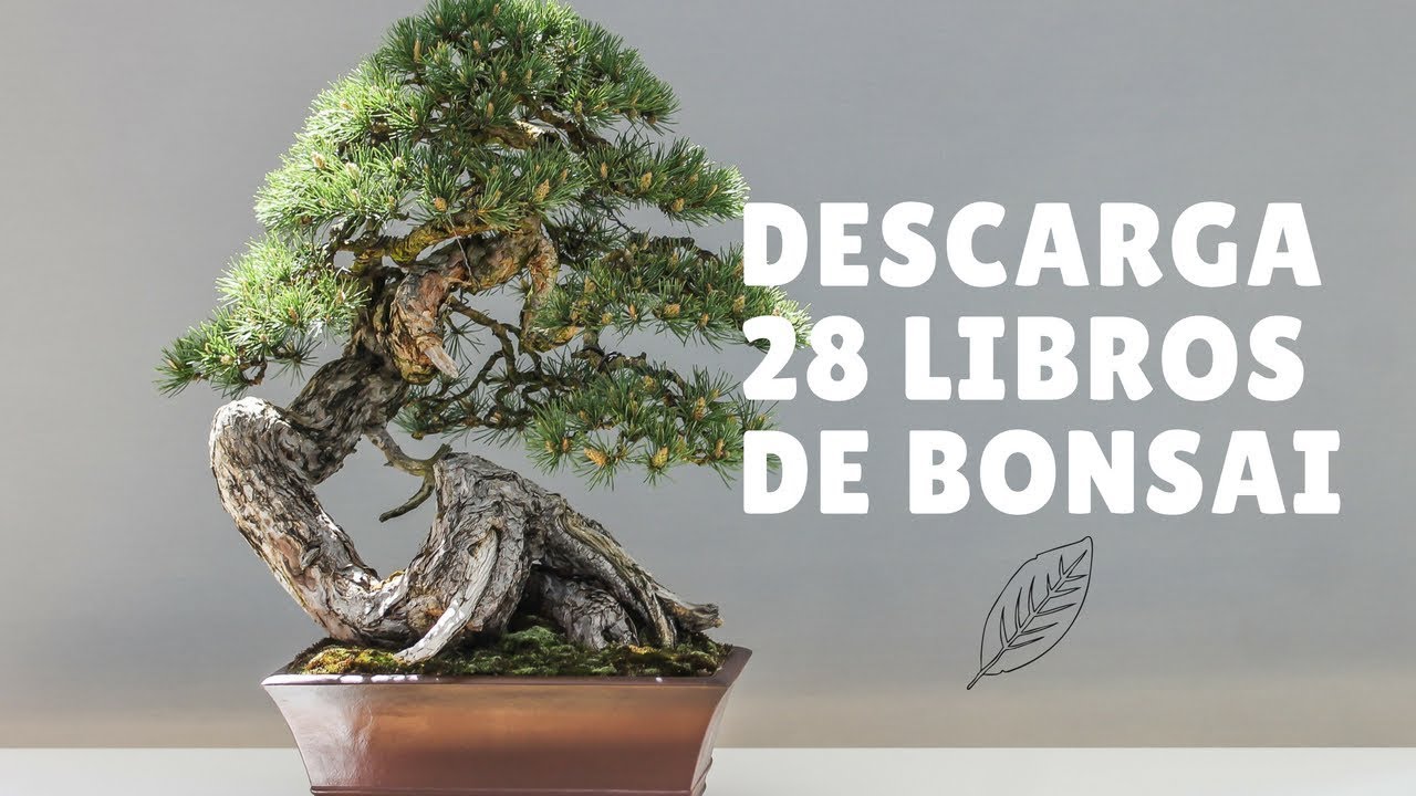 descargar libros de bonsai pdf gratis